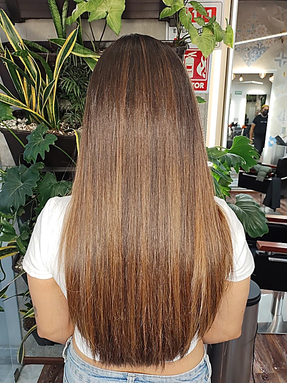 Cabello castaño largo, lacio y con brillo, de espaldas entre plantas